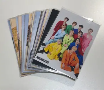 BUDDiiS 브로마이드 세트