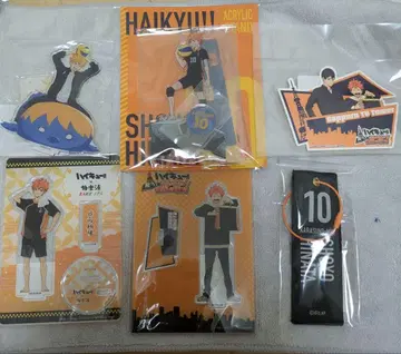 히나타 쇼요 아크릴 스탠드 스티커 키링 굿즈 모음