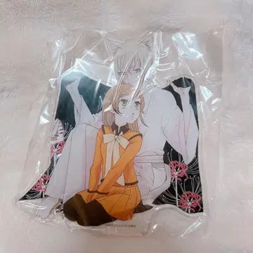 오늘부터 신령님 아크릴 스탠드