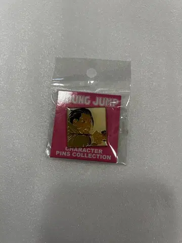 핀즈 오가타 햐쿠노스케 골든 카무이