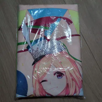 아키 로젠탈 빅 타월