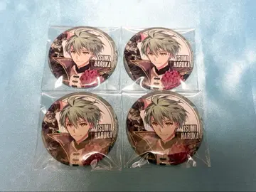 아이나나 이즈미 이오리 브라호와 캔뱃지 타네무라 아리나 촬영 4점