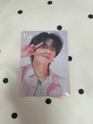 INI 리미티드 스토어 후지마키