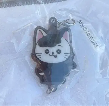 BALLISTIKBOYZ 카이누마 류세이 참