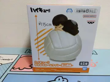 무료배송 하이큐!! 룸 라이트 카게야마 토비오