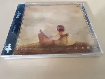 골반P Kotsbeirne Aster