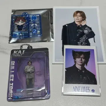 초특급 카이 Real