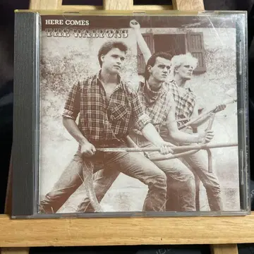 극 레어 THEWALTONS CD 네오 로카비리 사이코빌리 카우뱅크