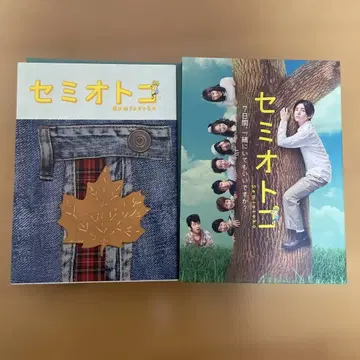세미오토코 DVD 4장 세트