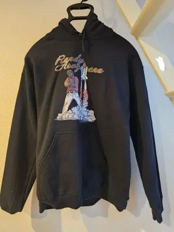 랜디 아로자레나 후드티