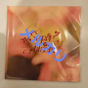 앙스타 스타포니 특전 책자