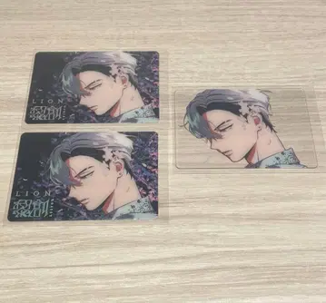 카제리 타유 개인전 비바렌 쿠리카 레온