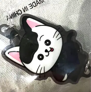 BALLISTIKBOYZ 카이누마 류세이 참