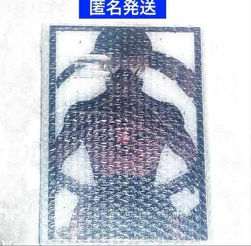 괴수 8호 호일 아크릴 아트 호시나 소우시로 & 괴수 10호 괴수 8호전