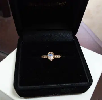 tatsuo nagahata 래브라도 라이트 반지