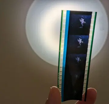 극장판 소드 아트 온라인 -오디널 스케일-('17SAO MO -