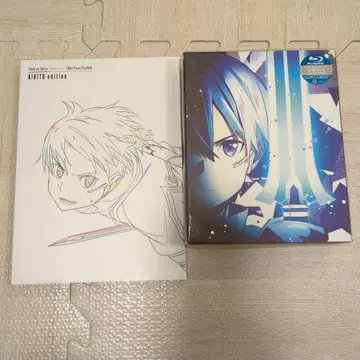 극장판 소드 아트 온라인 -오디널 스케일-('17SAO MO -