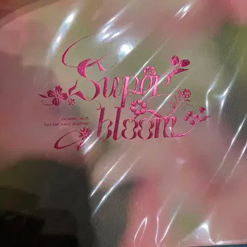 스타포니 4th 입장 특전 팜플렛