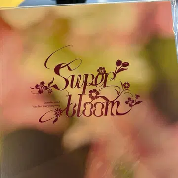 Starry Symphony 4th 입장 혜택 팜플렛 스타포니