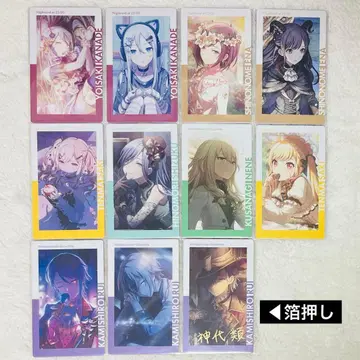 프로세카 에피카 묶음 판매