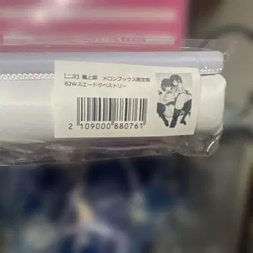 카에데와 스즈 피규어