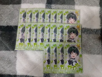 스타포라 키사라기 유우 PQ