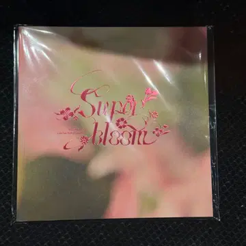 스타포니 특전 팜플렛