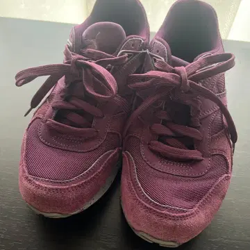 [PUMA] 보르도 스웨이드 메쉬 스니커즈 23.5cm