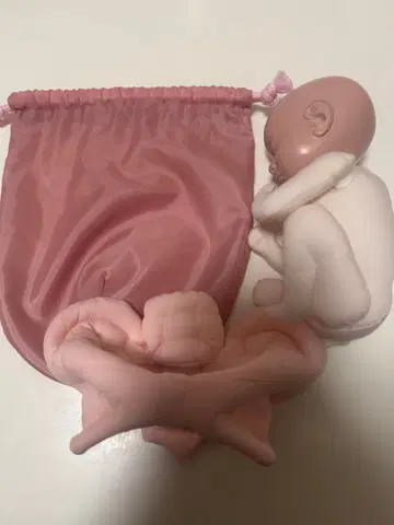 태아 회전 모델mini