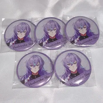 호시미치 쇼 Welcome Goods 캔뱃지