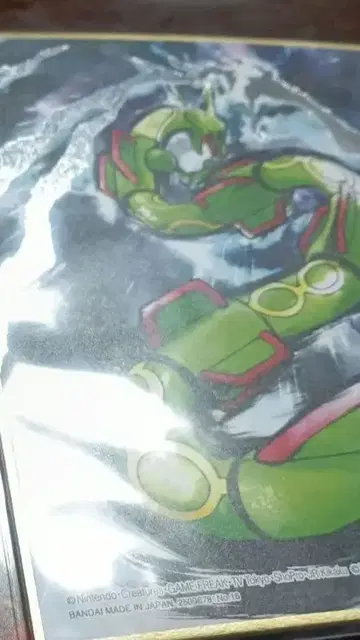 포켓몬 색지 ART 레쿠자 포켓몬 색지 아트