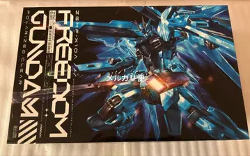 HGCE 1/144 프리덤 건담 폴라라이즈드 클리어