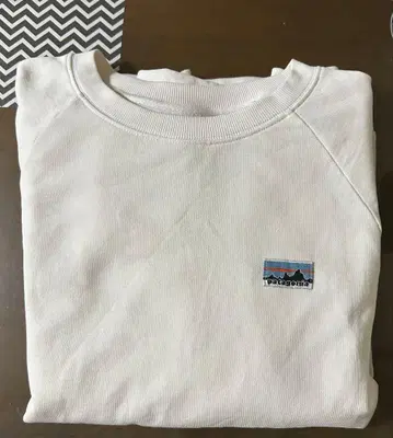 Patagonia 크루넥 트레이닝복