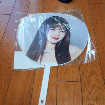 Wonyoung 원영 부채 도쿄돔