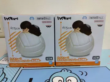 2개 세트 하이큐!! 스야스야 룸 라이트 카게야마 토비오