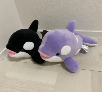 고베 스마 월드 범고래 복권 라벤더 블랙 4등 범고래 봉제 인형