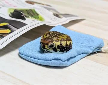 아메후쿠라 개구리 가챠가챠 캡슐Q 레트로