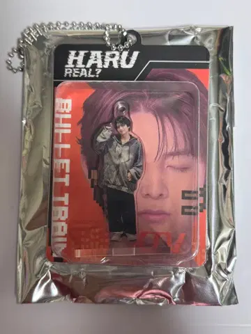 초특급 하루 Real? 블리스터 키링 랜덤