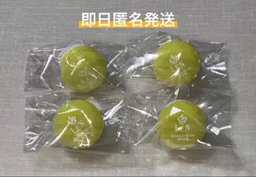 프로세카 카가미네 렌 세카라이 4th 링 라이트 4점 세트