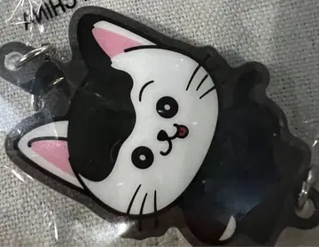 BALLISTIKBOYZ 카이누마 류세이 참