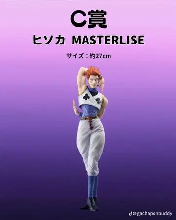 히소카 MASTERLISE C상