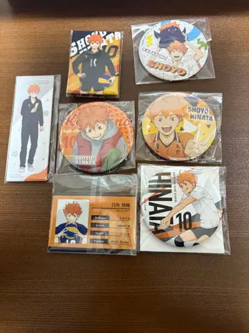 하이큐!! 캔뱃지 히나타 세트