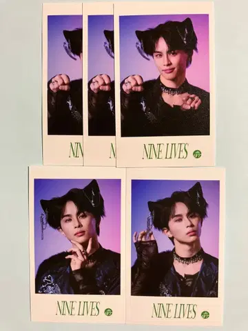 초특급 NINE LIVES 미니 사진 세트 타쿠야