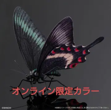 미야마카라스아게하 생물대도감 어드밴스