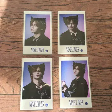 초특급 미니 사진 NINELIVES 카이