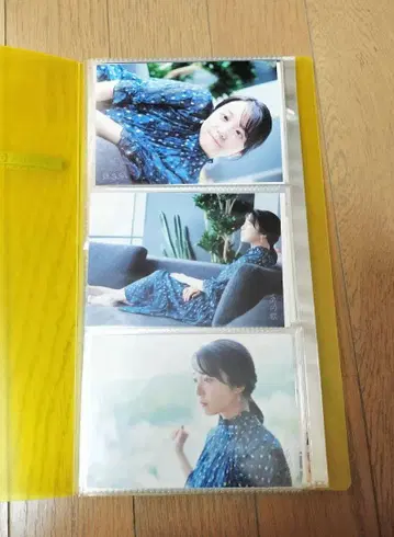 카미시라이시 모네 브로마이드 28장 세트