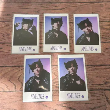 초특급 미니 사진 NINELIVES 료가