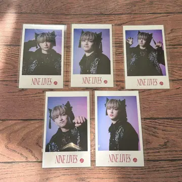 초특급 미니 사진 NINELIVES 유키