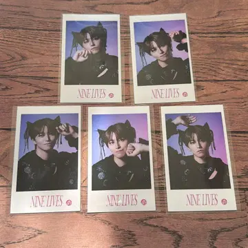 초특급 미니 사진 NINELIVES 타카시