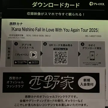 니시노 카나 Tour 2025 플레이패스만